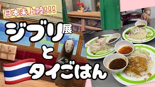 【タイ🇹🇭】潜入!海外のジブリ人気展示会/バンコクの夜を楽しむVlog/セントラルワールド/