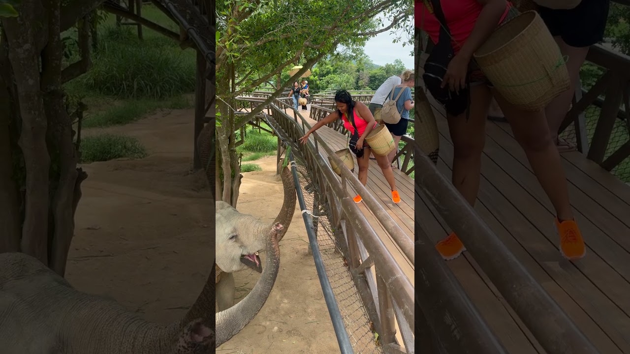 YouTube Short thumbnail