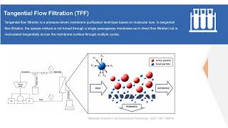 ADC Downstream Purification Technology