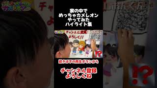 家の中でめっちゃカメレオンやってみた！ハイライト集