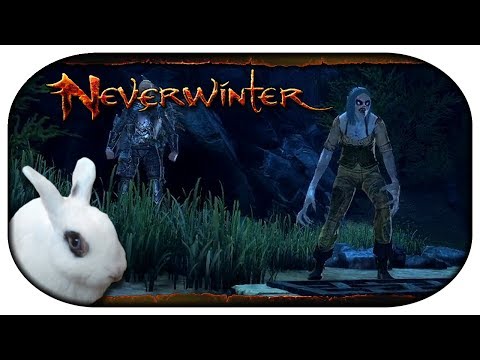 🐇 NEVERWINTER: Paladin-LP #11 - Linkletters Probleme und die Zauberpest