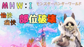 【MHWI】愉快・痛快・部位破壊！ランス使用回数2500回記念