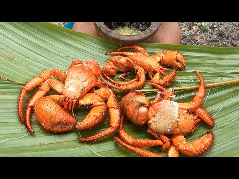 Survival skills - Catch Giant Hermit Crabs - Cooking Eating Delicious