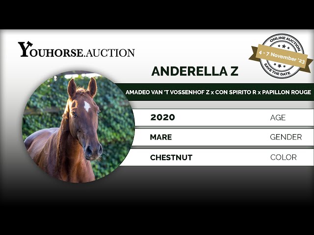 Anderella Z