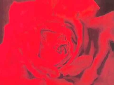 Rita Botto - Cu ti lu Dissi