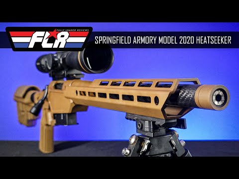Springfield Armory Heatseeker: Springfields First Chassis Gun. Is it Worth it?