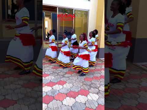 The best entertaining cultural group in the world #dance #dancer #weddingdance Moustydj #wedding #cu