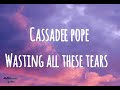 Cassadee Pope - Wasting All These Tears (lyrics)