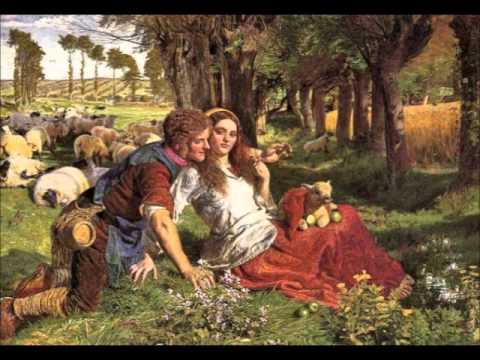 Mandolin, Ukelele, and Recorder Perform Irish Air (Pastheen Fionn)