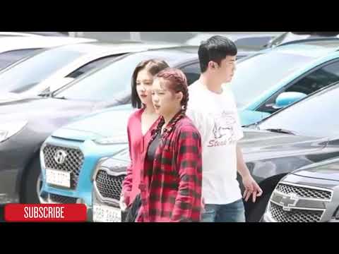 momoland try to go park
