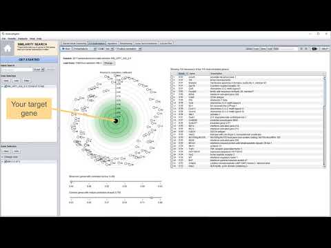 GENEVESTIGATOR® - Co-Expression analysis