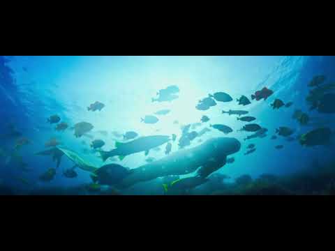 Teaser - Duyung Legenda Aurora