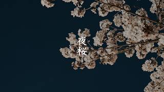 Shukugawara Nikaryo Waterway video preview