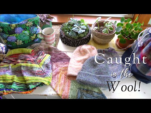Caught in the Wool! Knitting Podcast Ep. 43