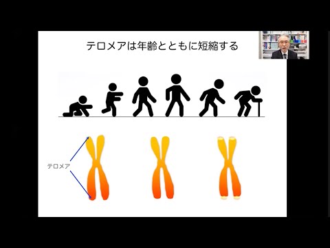薬学科 再生医療分野紹介 薬学科【研究室紹介】
