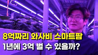 100평 와사비 스마트팜의 현실 수익 공개