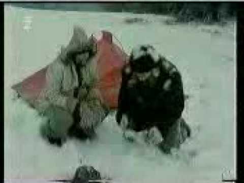 Tango - JIŽNÍ PÓL