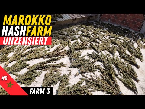 Farm Zwei in Ketama – Unterwegs im Rif-Gebirge von Marokko