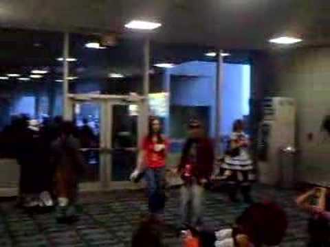 neko gathering Ohayocon 2008 cute cats