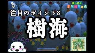 [あつ森]あざらし式びふぉーあふたー　～ガーデニング編～　[ゆっくり実況]