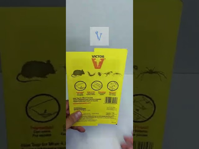 Vídeo relacionado con FORCE GARDEN Trampas para Ratones y Roedores Adhesivas (Pack 6) | Prevención Higiénica y Seguridad Familiar | Diseño Plegable Anti-Contacto | Pegamento Profesional Extra Fuerte Sin Veneno