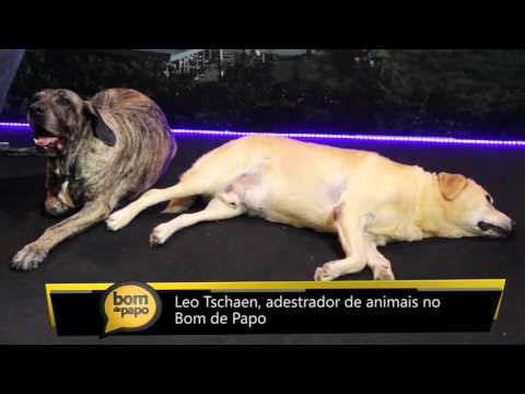 Programa Bom de Papo 09/05/2016 - Adestrador de Cães LEO TSCHAEN