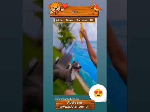 Vídeo de Zara 