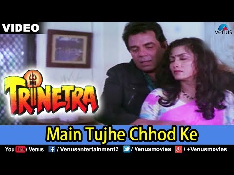 Main Tujhe Chhod Ke (Trinetra) — watch video