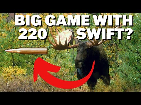 Big Game Hunting With A 220 Swift?