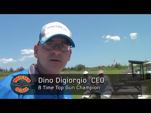 Warbirds 2015 Dino's Meister scale P47