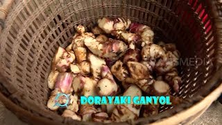 Download lagu DORAYAKI GANYOL | JEJAK SI GUNDUL (14/12/21) mp3