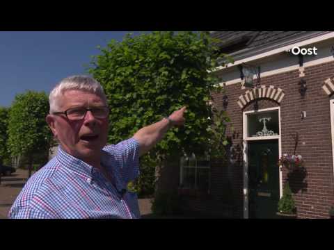 Wilsum: "Wat een mooi dorp!"