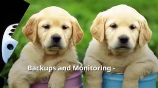 Backup and Monitoring Services