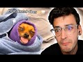 TRY NOT TO LAUGH 32