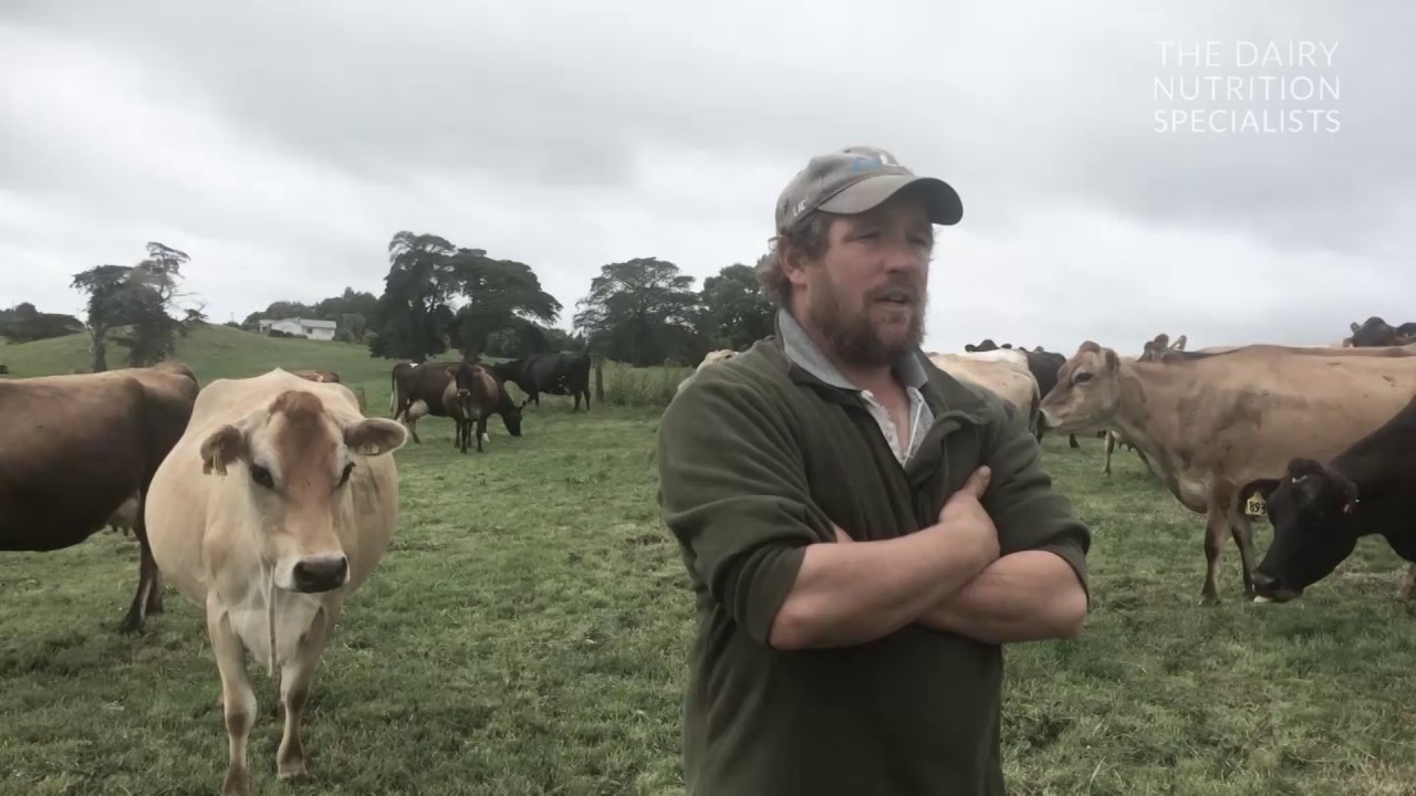 Managing Summer Conditions - January 2017