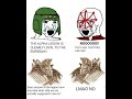 Alpha Legion Loyalty Debate Warhammer 40k Meme Dub