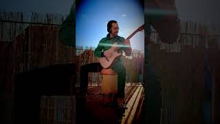 Du bist Dir nicht mehr sicher by @mulaingsik  #fingerstyle #acousticguitar #coversong