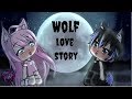 Wolf Love Story | GLMM |GACHA LIFE/Gachaverse Mini Movie Wolf Love Story | GLMM |GACHA LIFE/Gachaverse Mini Movie