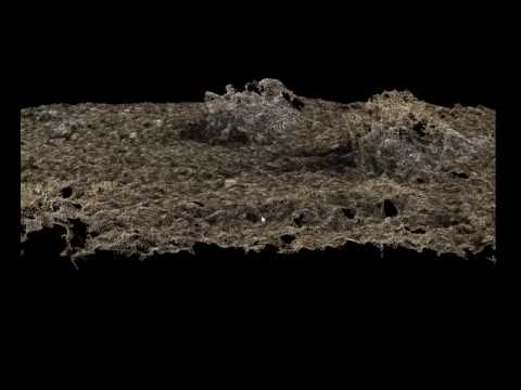 Structure from Motion using iPhone photos (sage brush in Yellowstone National Park)