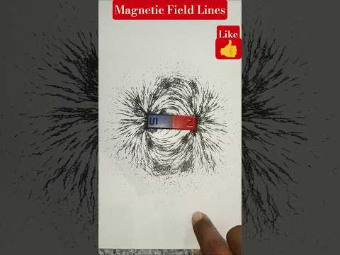 Magnetic Field Lines of a Bar Magnet  #teluguexperiments #scienceexperiment