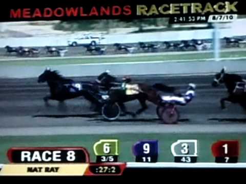 2010 Hambletonian Day -  Race 8 - Nat Ray