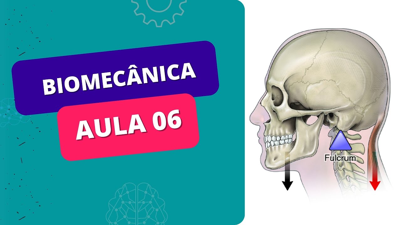 MINI CURSO DE BIOMECÂNICA - Aula 06 - ALAVANCAS