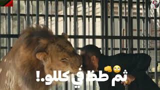 حالات واتس مهرجانات2021 مسلسل نسل الاغراب احمد السقا امير كراره انا نفسي ثم نفسي احمد موزه
