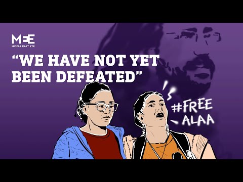 The final fight to save Egypt prisoner Alaa Abd el Fattah