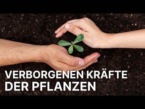 Hidden Powers of Plants | Secrets of Nature | When the Invisible Comes to Life