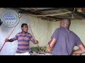 Zulu Comedy Umbango Wemfuyo Komakhelwane