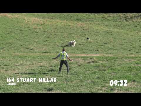 Short Head and Yard |  Stuart Millar & Laddie