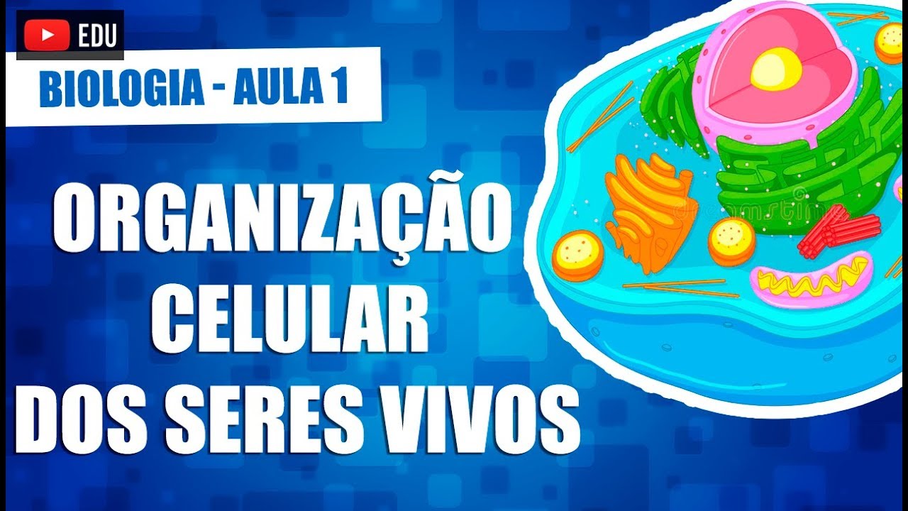 Organização celular dos seres vivos - Biologia - Aula 1