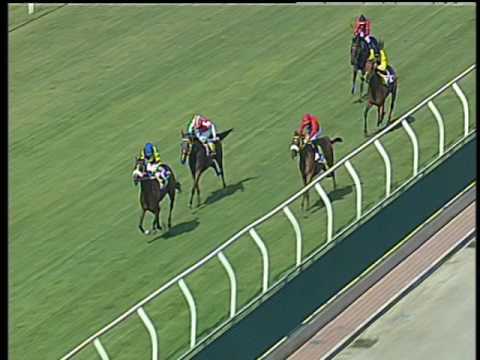 Galoppo 23/06/2017 - 2ª corsa