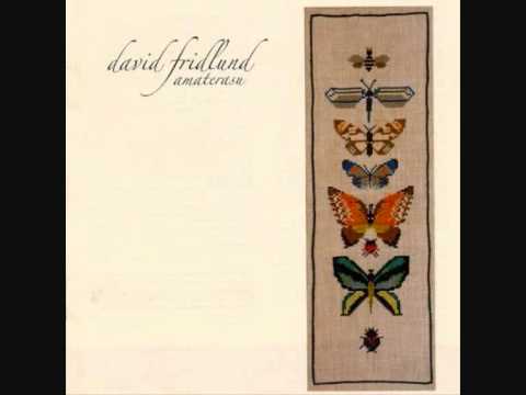 David Fridlund - Circles